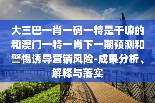 大三巴一肖一碼一特是干嘛的和澳門一特一肖下一期預(yù)測和警惕誘導(dǎo)營銷風(fēng)險-成果分析、解釋與落實