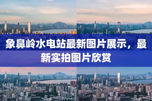 新澳門天天精準大全謎語送動手術(shù)及2025年最新免費資料大全:20-47-43-41-18-38 T:21規(guī)范釋義、解釋與落實-規(guī)避不實的聲明