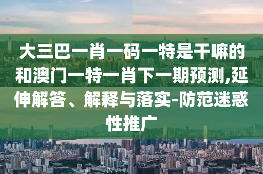 大三巴一肖一碼一特是干嘛的和澳門一特一肖下一期預(yù)測,延伸解答、解釋與落實-防范迷惑性推廣