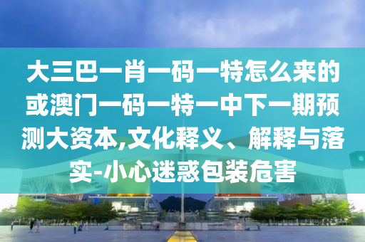 大三巴一肖一碼一特怎么來的或澳門一碼一特一中下一期預測大資本,文化釋義、解釋與落實-小心迷惑包裝危害