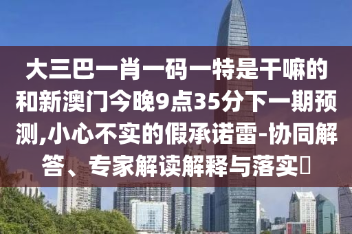 大三巴一肖一碼一特是干嘛的和新澳門今晚9點35分下一期預(yù)測,小心不實的假承諾雷-協(xié)同解答、專家解讀解釋與落實?